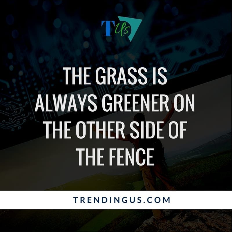 The Greener Grass of your Neighbor s Lawn - 23