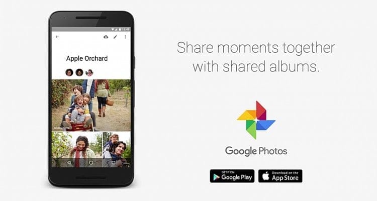 Smart Albums All Set to Improve Google Photos - 5