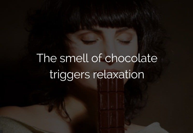 chocolate for relaxation