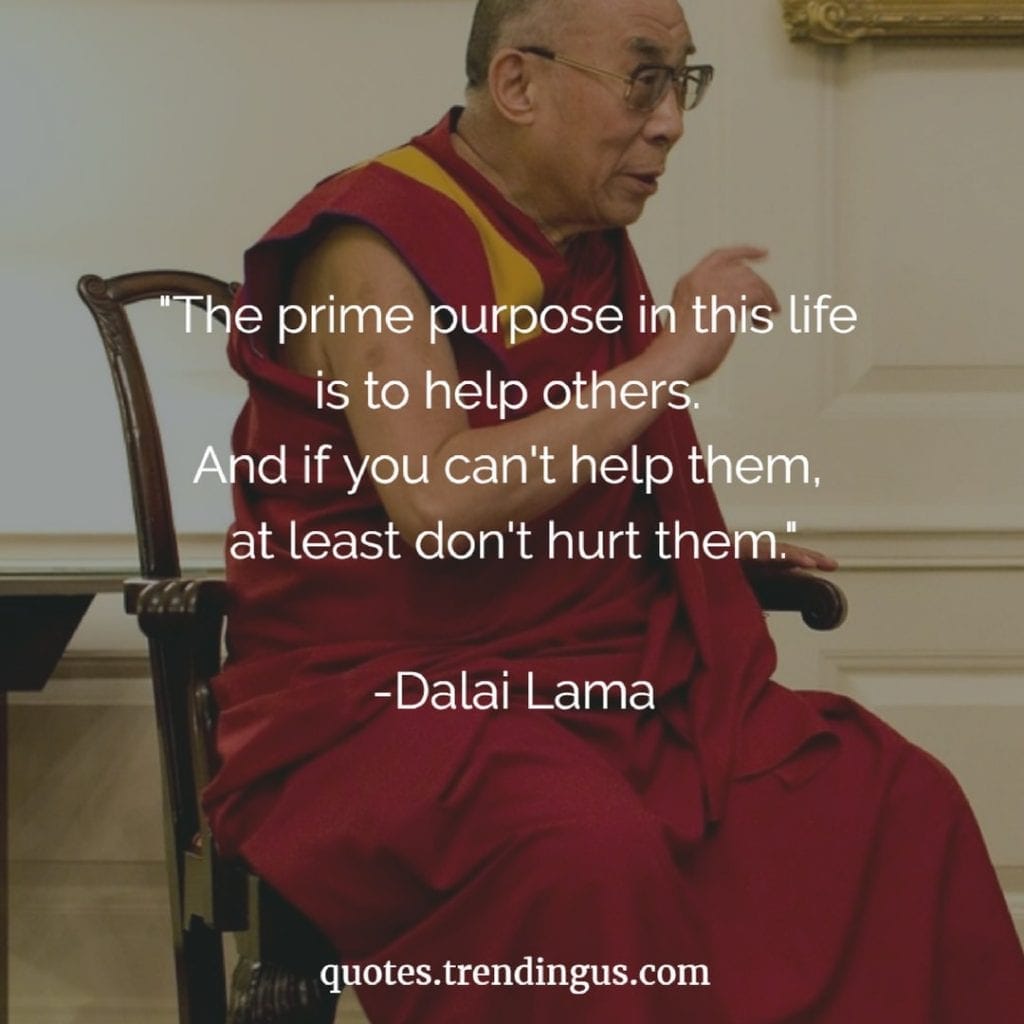 "The prime purpose in this life is to help others. And if you can't help them, at least don't hurt them." -Dalai Lama Quotes