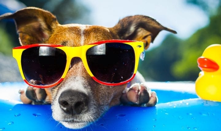 stay cool in summer