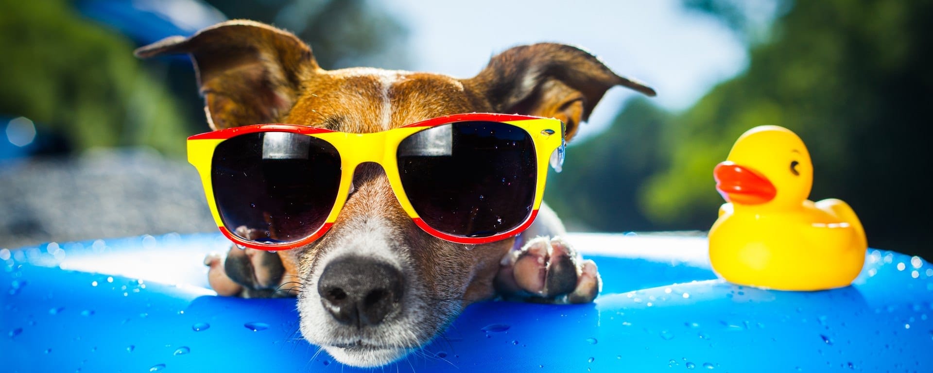 stay cool in summer