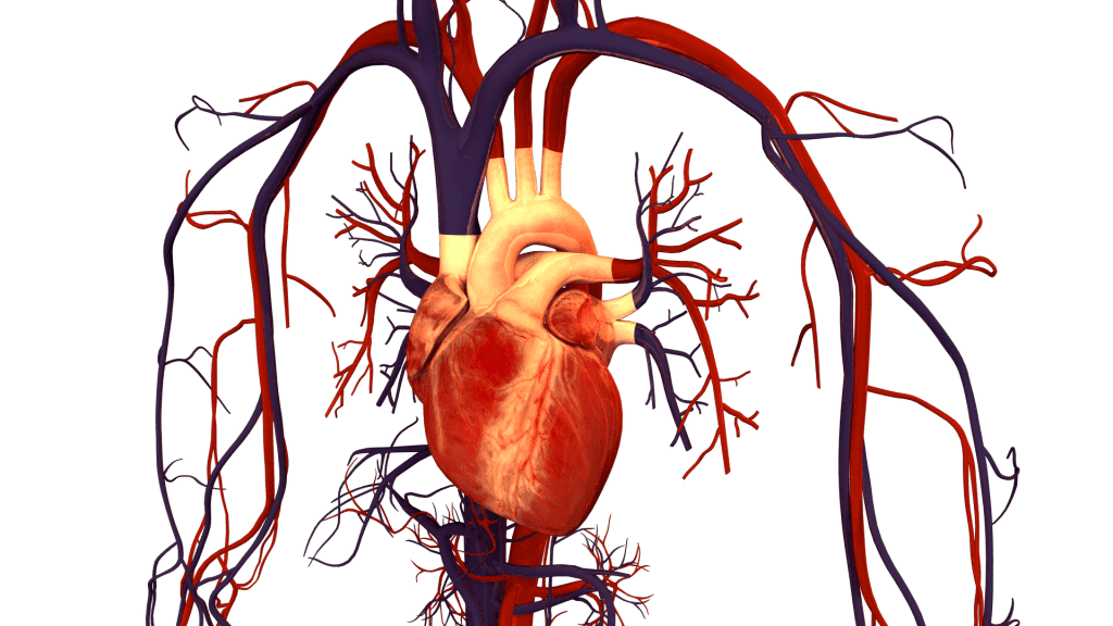 Trendingus - cardiac health