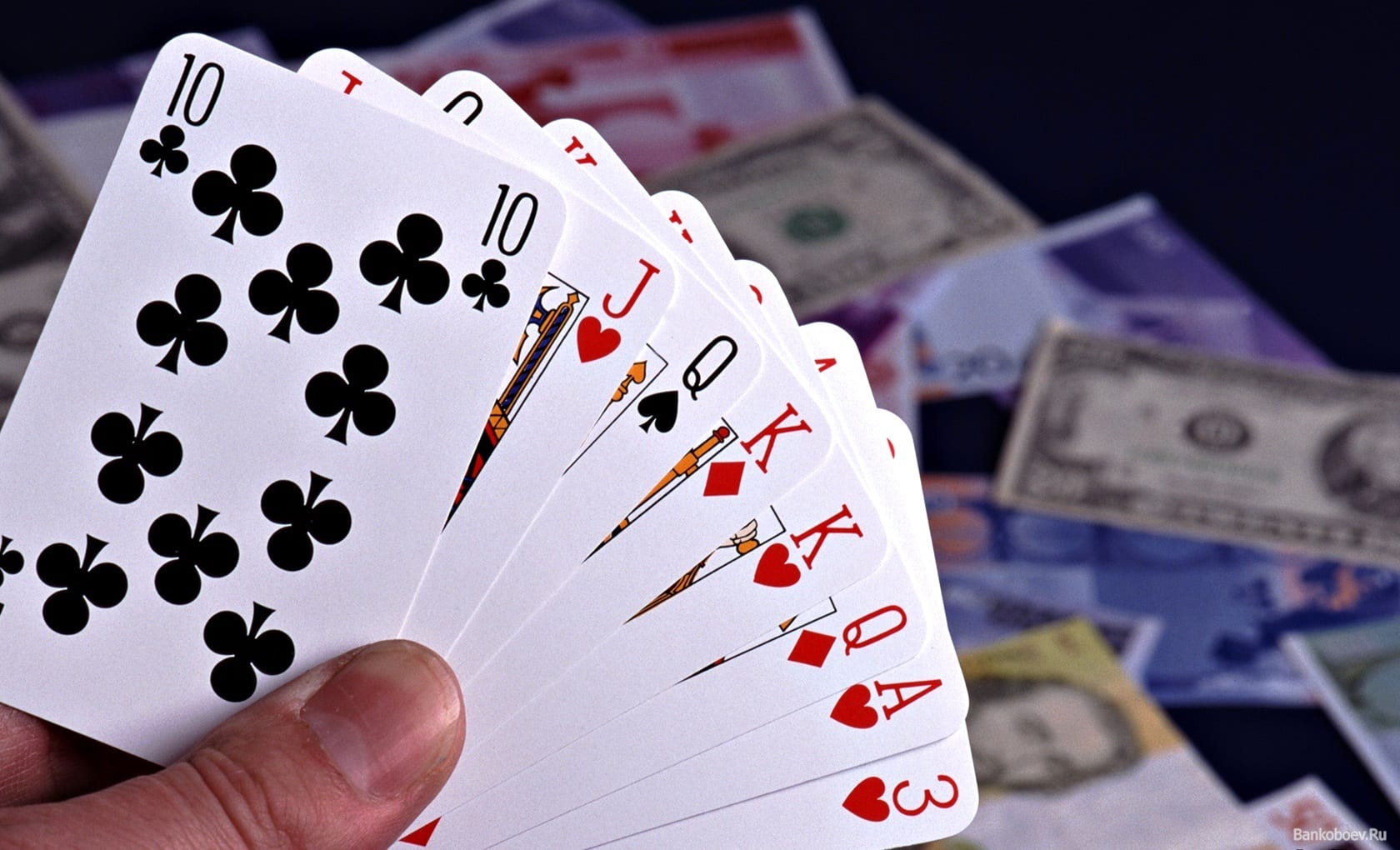 Can card games be good for your health? » Trending Us