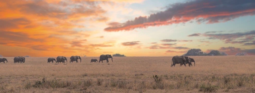 Most amazing wildlife destinations in world