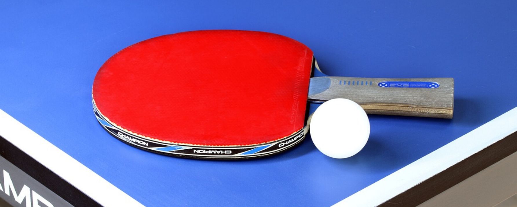 Ping Pong Table - Maintain A Ping Pong Table