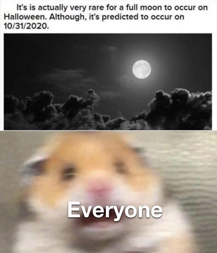 Halloween full moon 2020 memes