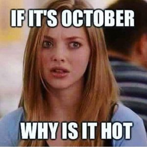 October Hot memes 