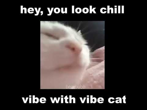Vibing cat meme