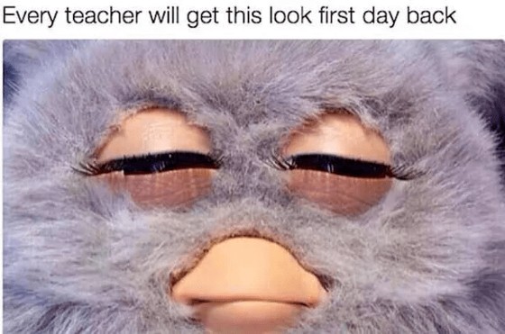 Teacher First Day Meme