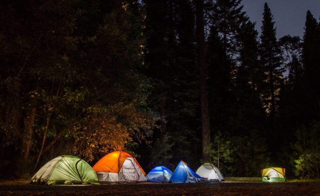 Camping tents in forest- survival kit essentials