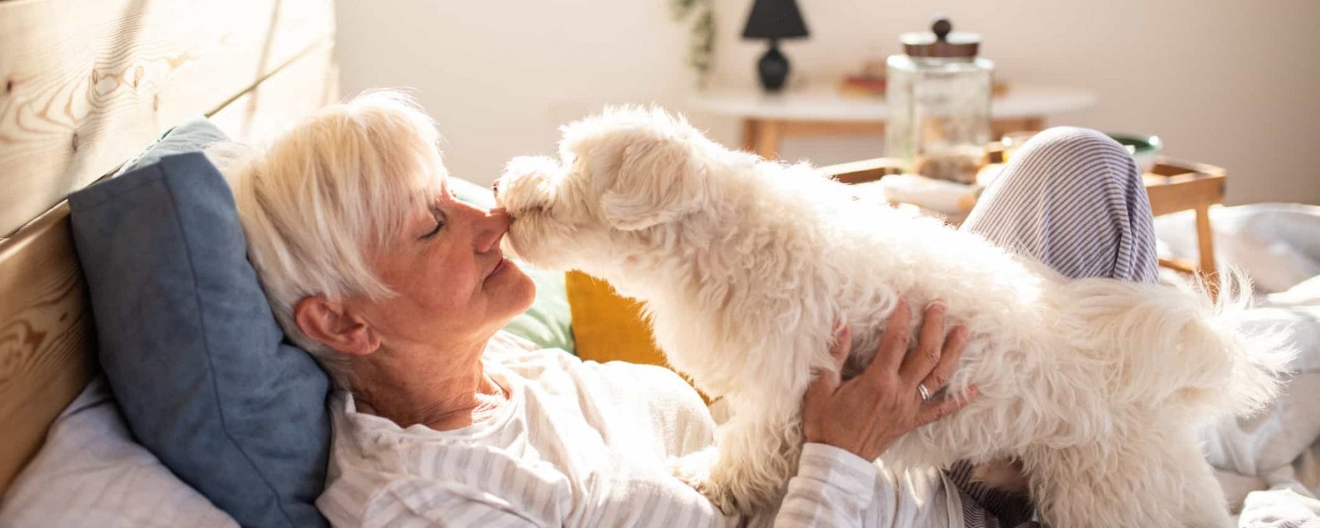 Benefits of adopting a pet