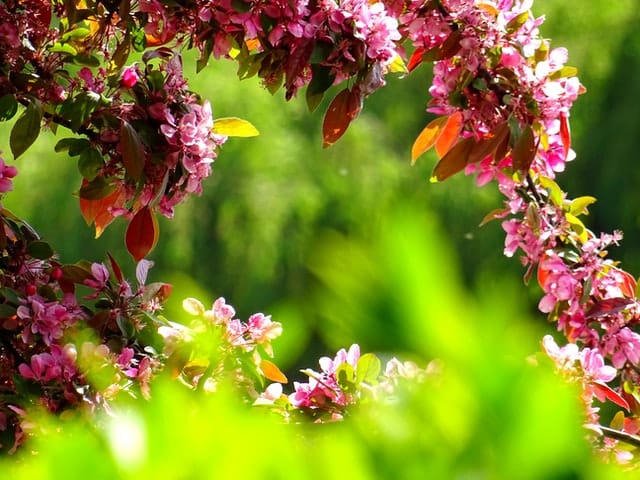 Opening a Flower Shop  5 Key Tips for Starting a Flower Business  - 11