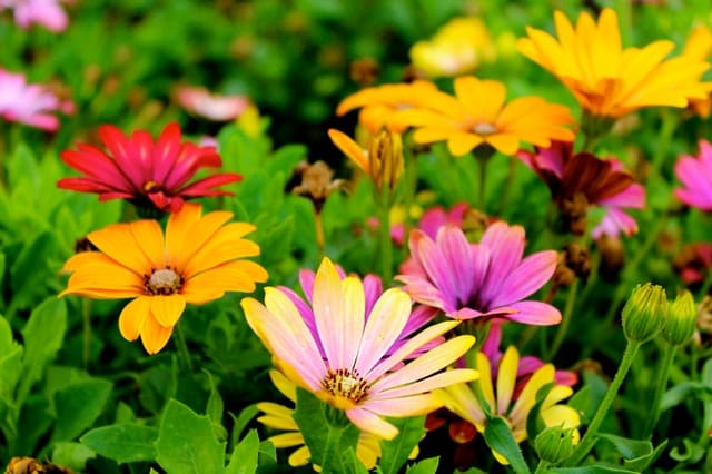 Opening a Flower Shop  5 Key Tips for Starting a Flower Business  - 66