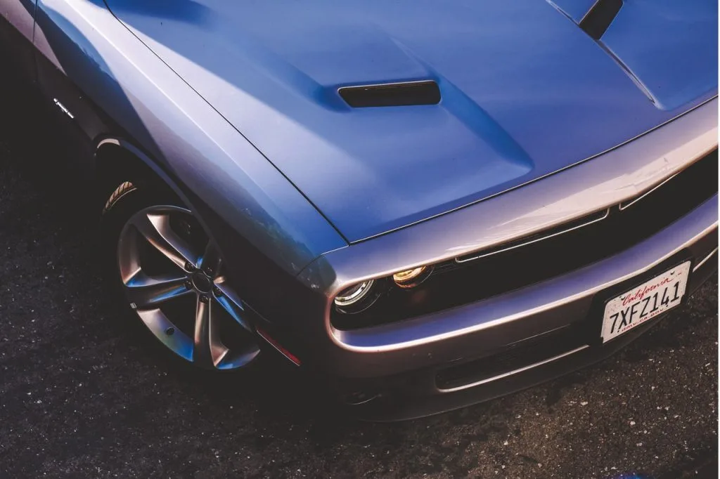 Vin code and a car body number