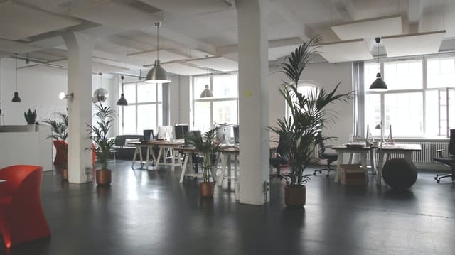 7 of the Best Office Layout and Workplace Ideas That ll Support Productivity  - 87