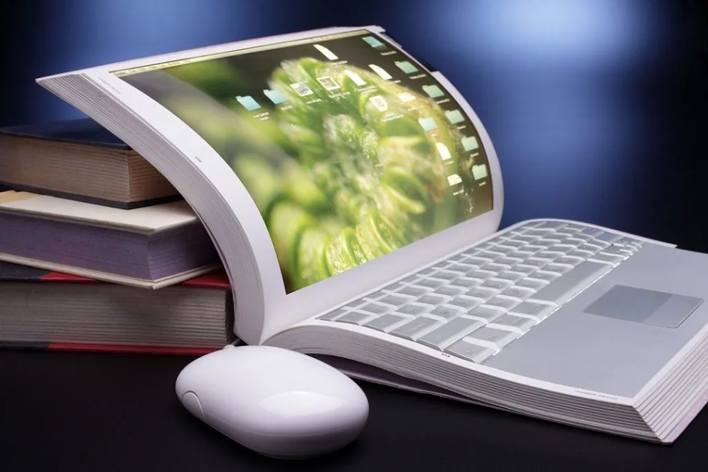 Book writing software
