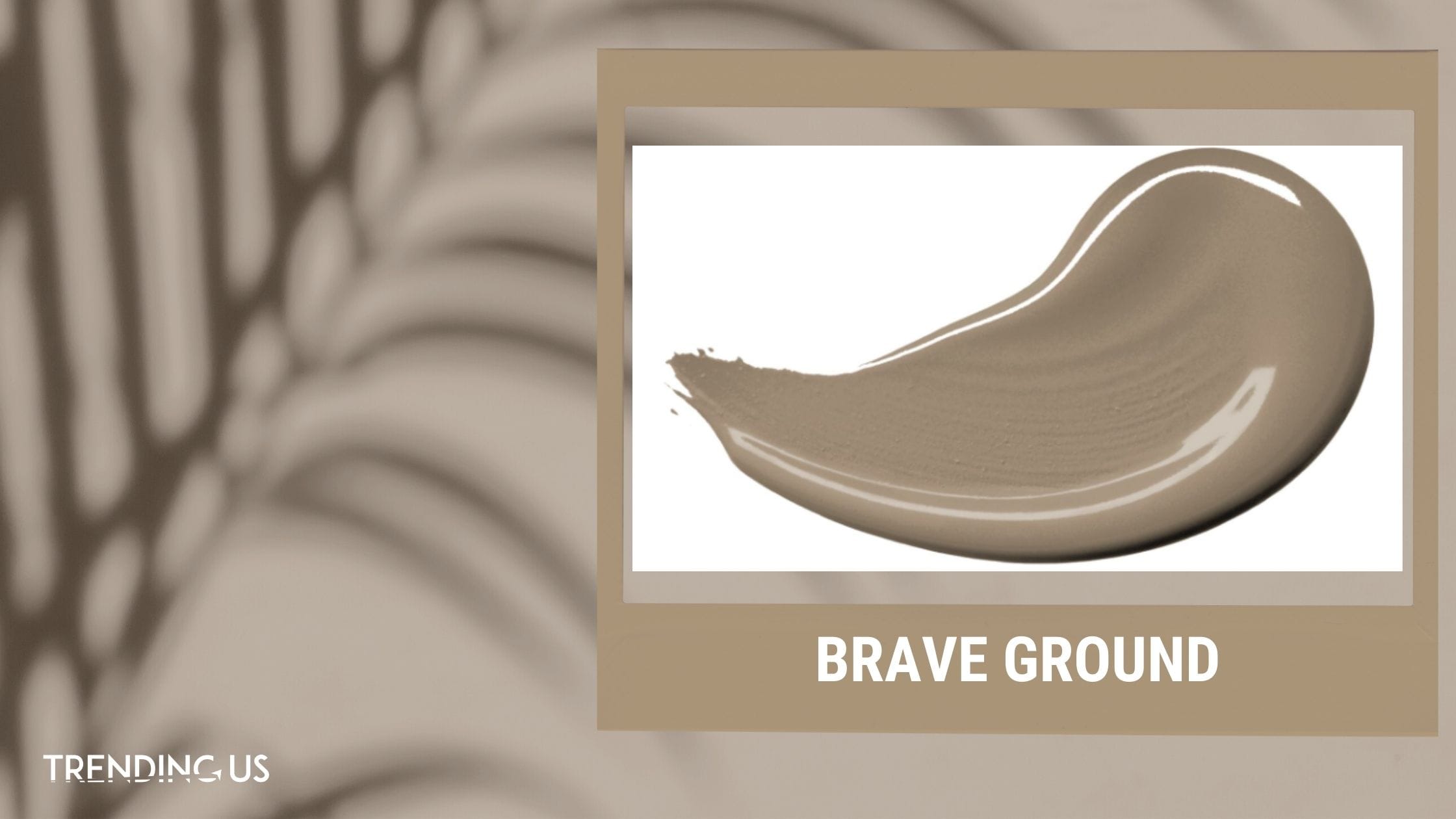 Brave Ground Dulux