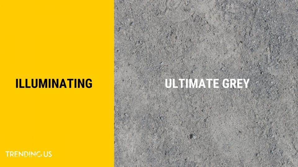 Top Interior Design Trends for 2021 Colors and Themes » Trending Us