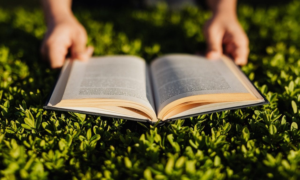 Radical Ideas To Improve Your Life
