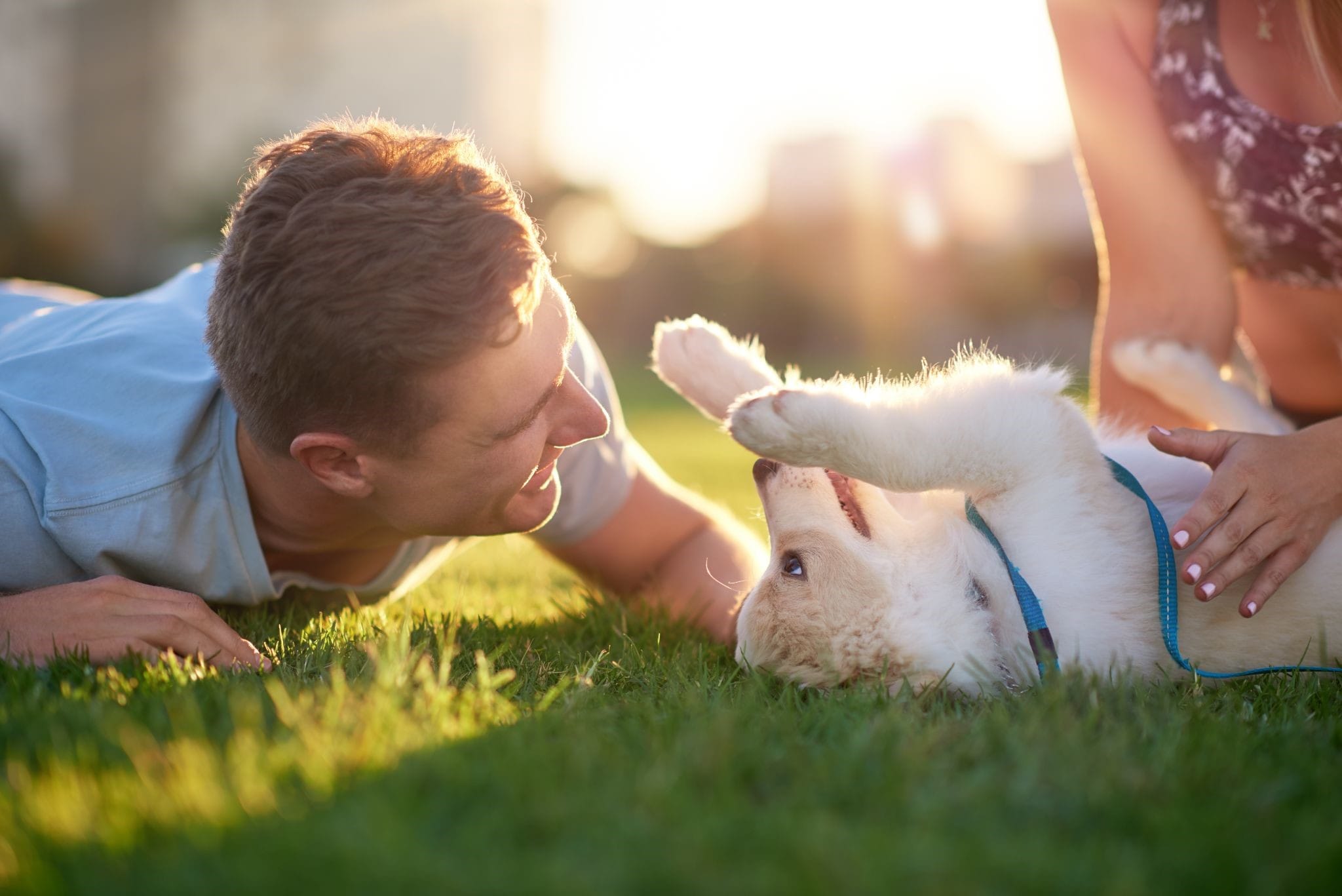 Things to consider before you adopt a new dog