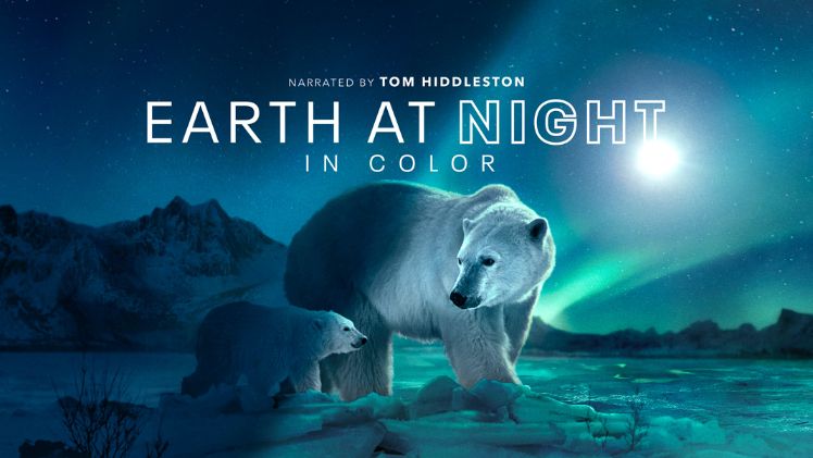 Earth At Night(1)