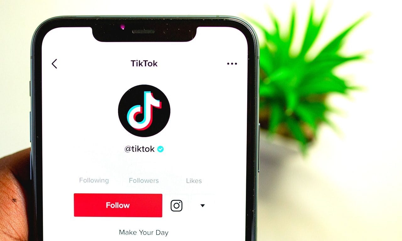Trending TikTok Bio Ideas