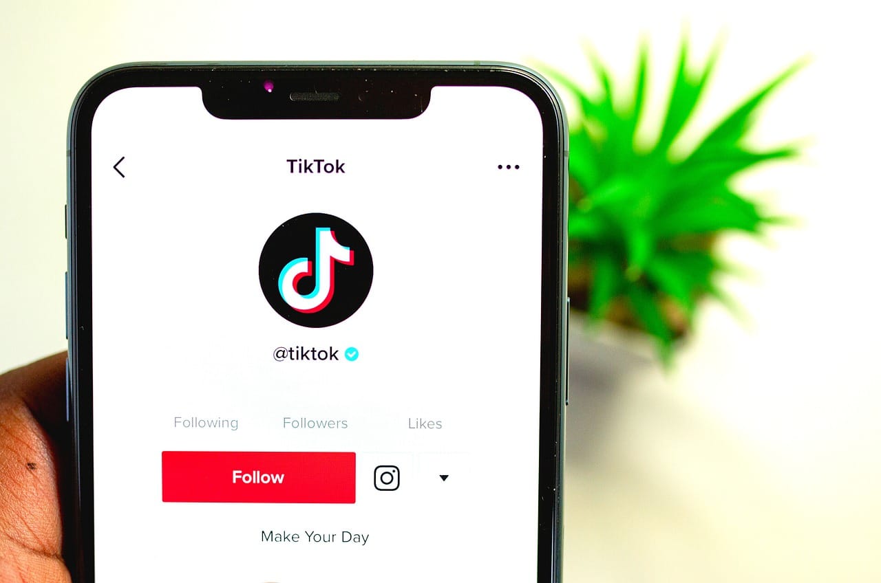 Trending TikTok Bio Ideas