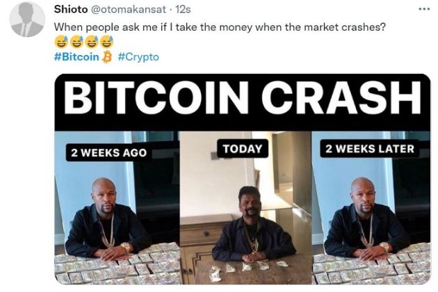 Bitcoin Crash Meme