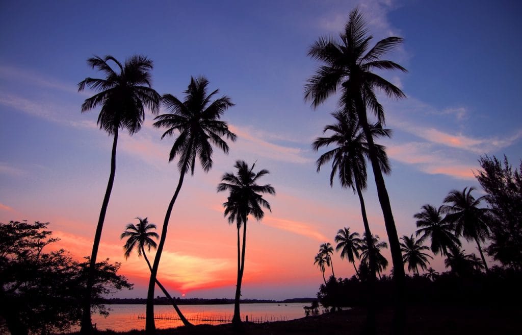 Best things to do in hawaii