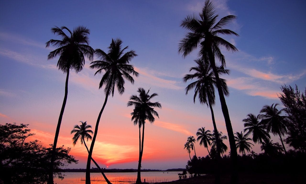 Best Things To Do In Hawaii