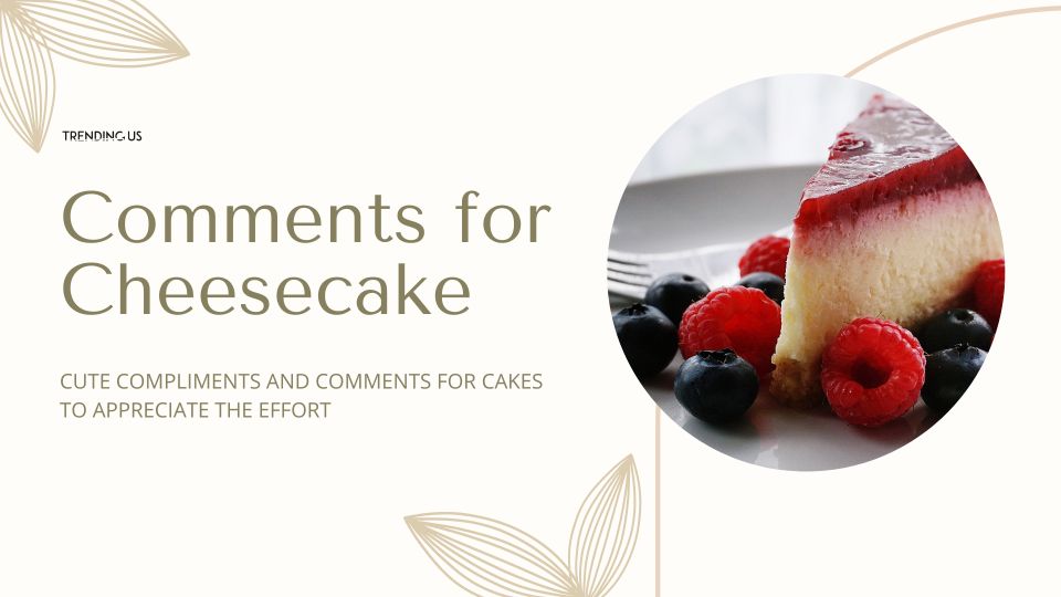 Comments For Cheese Cake