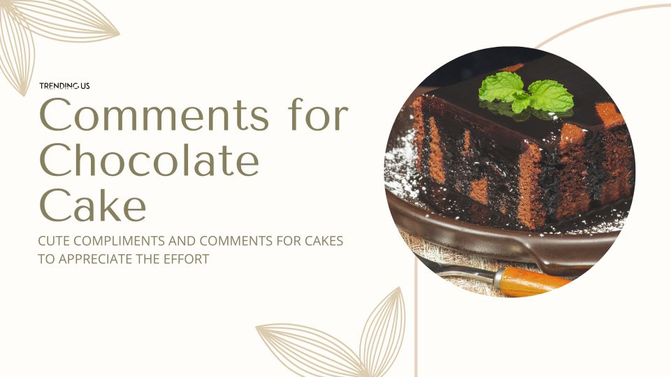 Comments For Chocolate Cakes