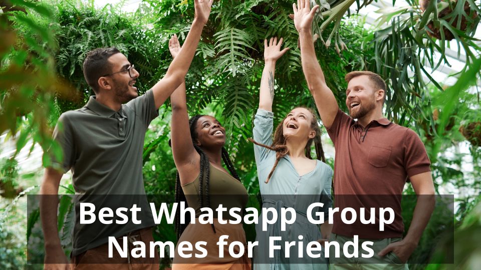 Best WhatsApp Group Names For Friends