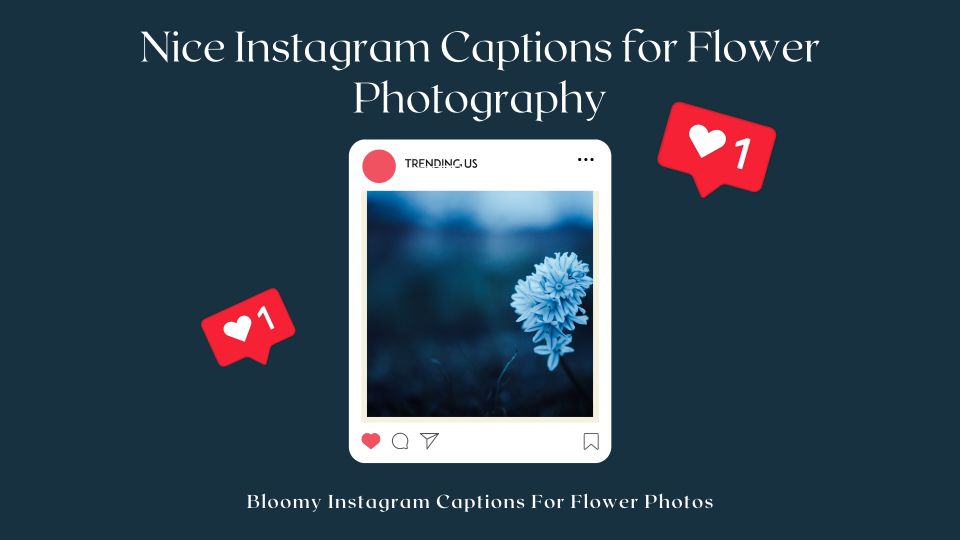 Nice Instagram Captions For Flower Photography