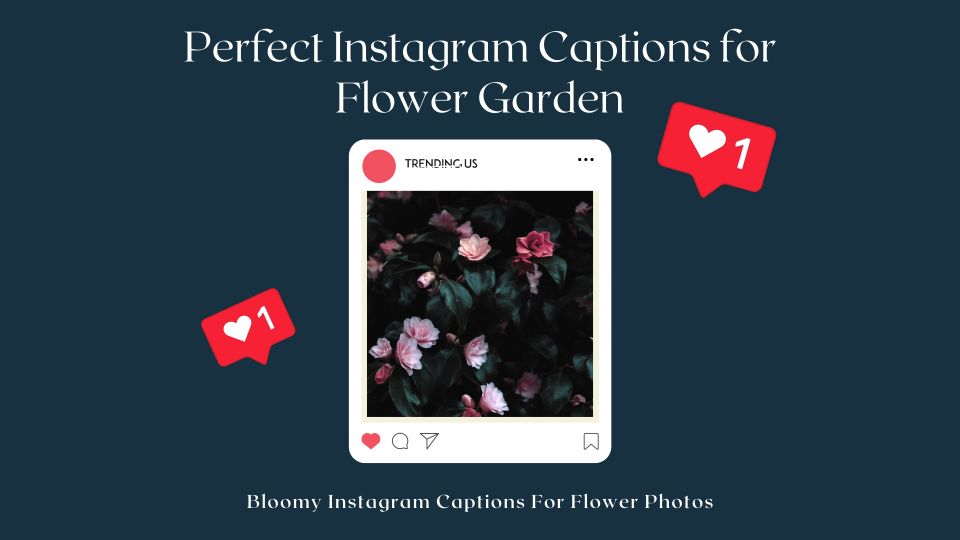 Perfect Instagram Captions For Flower Garden