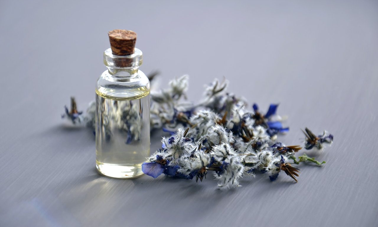 Trending Perfumes Every Woman Should Try