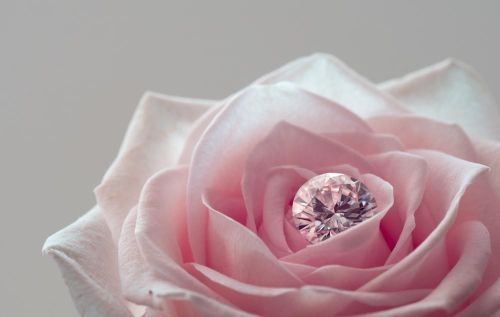 Moissanite Stone Inside A Flower