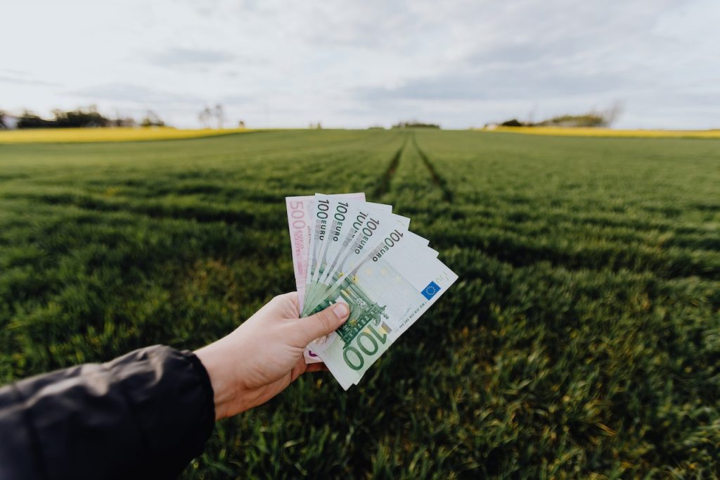 Invest in money back plans for financial protection