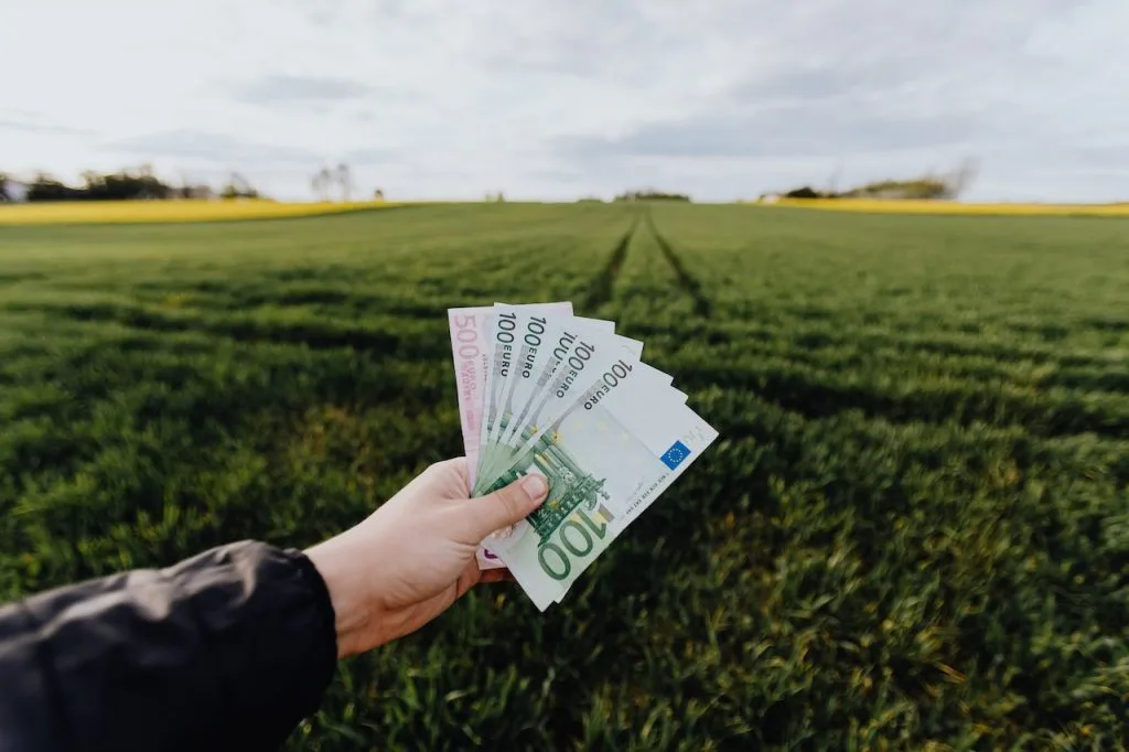 Invest in money back plans for financial protection