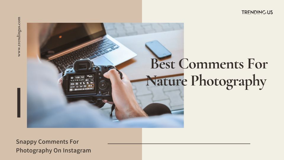Best Comments For Nature Photography 