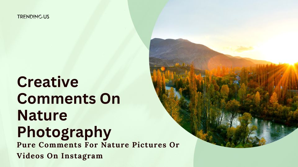 Creative Comments On Nature Photography