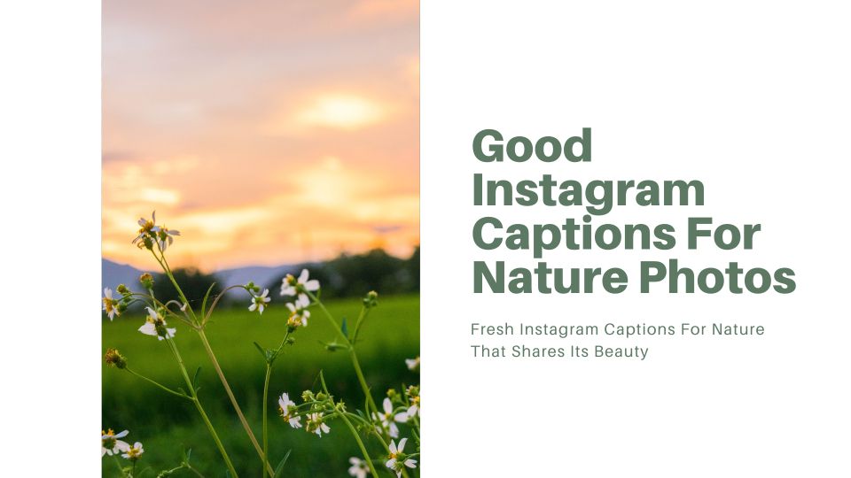Good Instagram Captions For Nature Photos