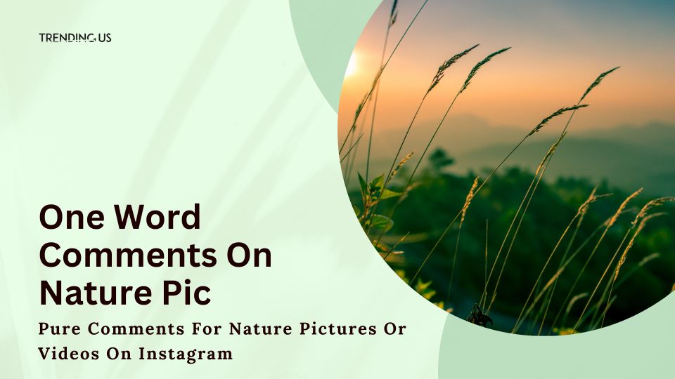 One Word Comments On Nature Pic