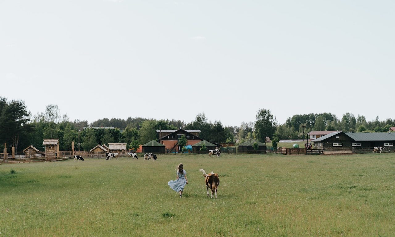 How To Balance Modern Convenience With Traditional Homesteading