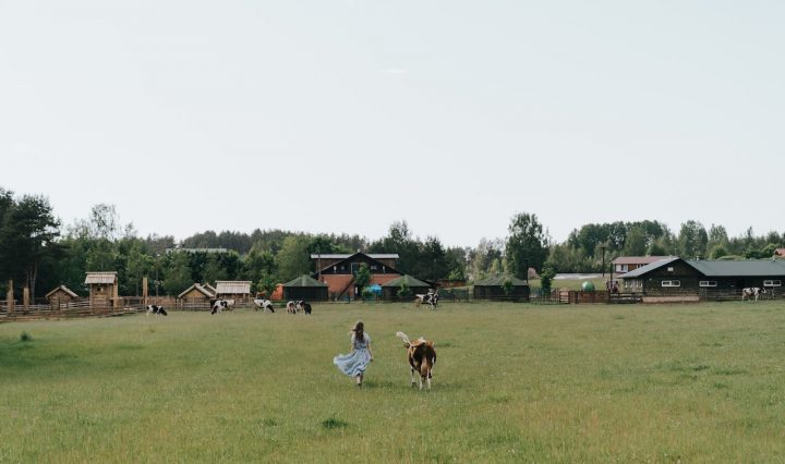 How To Balance Modern Convenience With Traditional Homesteading