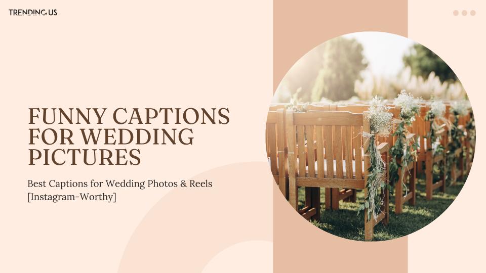 Funny Captions For Wedding Pictures