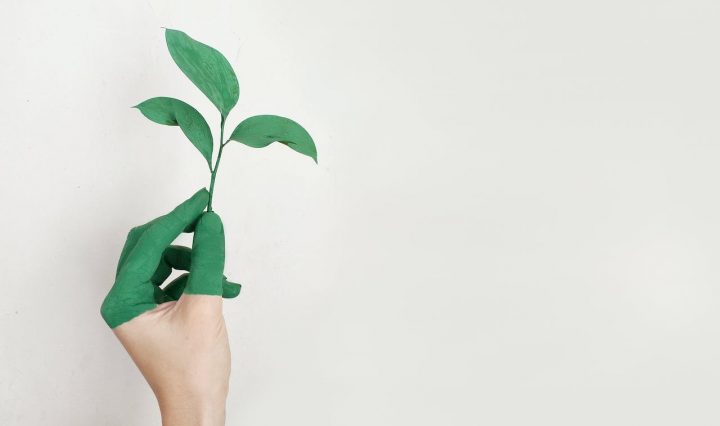 How To Leverage Eco Friendly Upgrades For Better Valuations