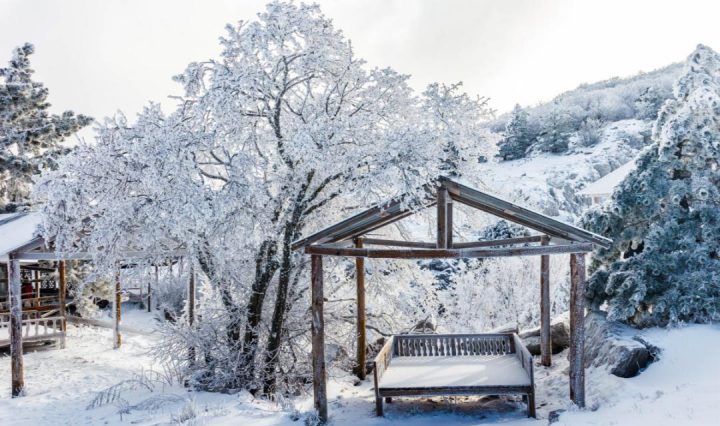 The Art Of Outdoor Winter Gardens