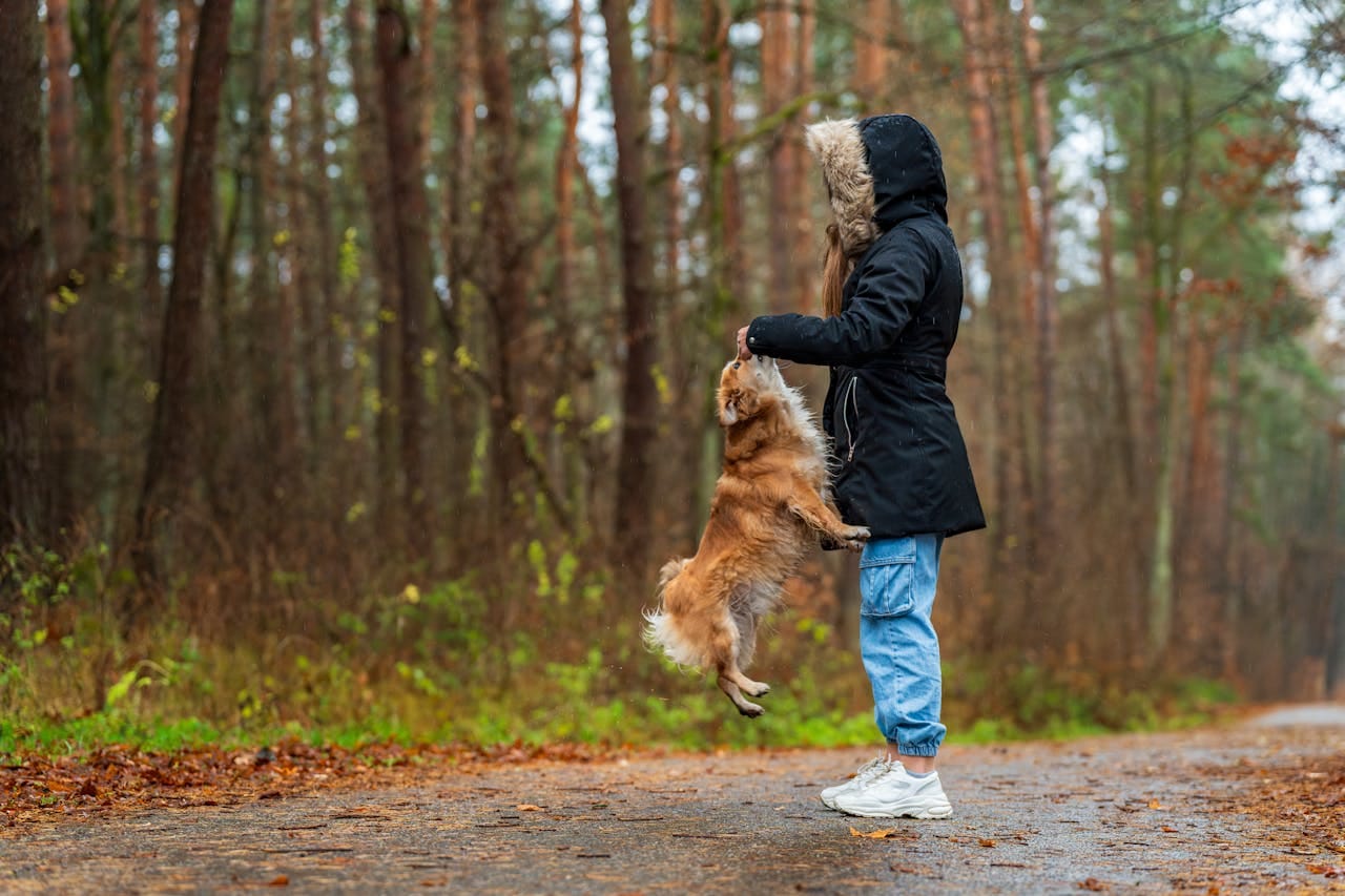 101 Best Instagram Pet Captions Trending Us 101-best-instagram-pet-captions-trending-us